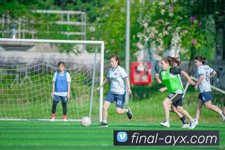 数据防护可视化